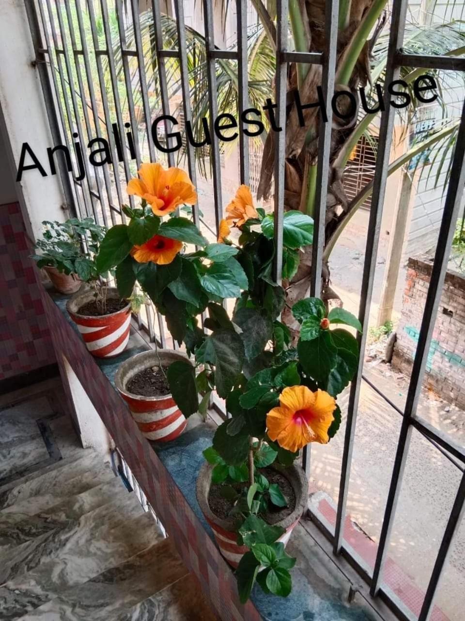 Anjali Guest House Дигха Экстерьер фото